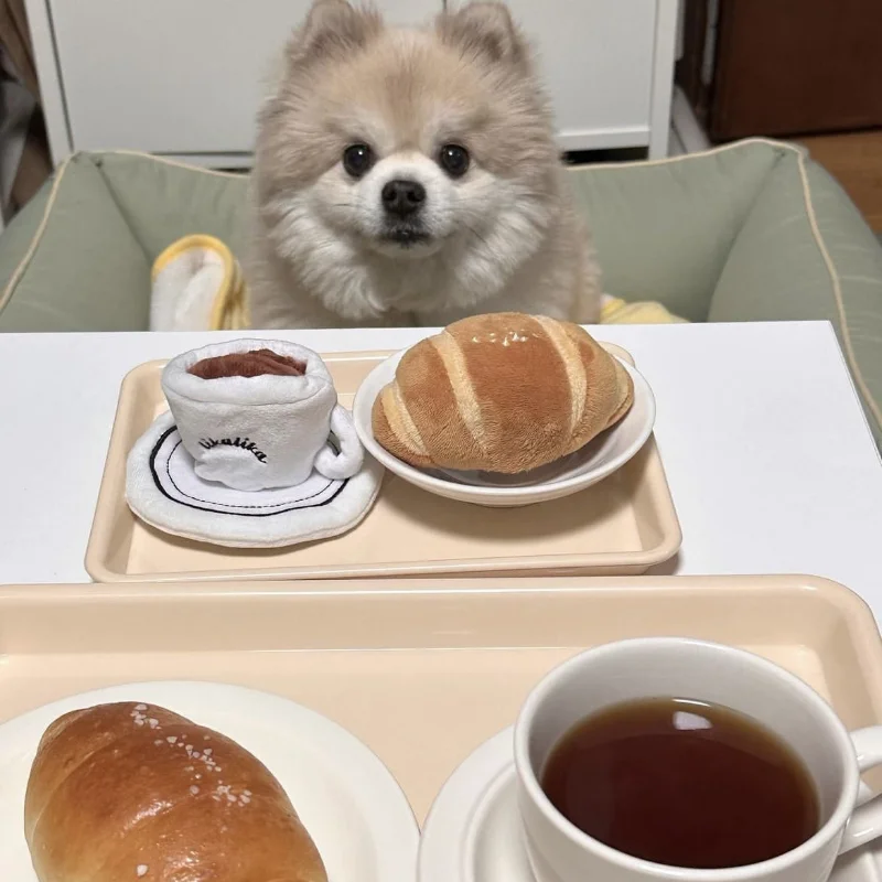 

Ins Style Dog Plush Toys Funny Afternoon Tea Pet Sniff Toy Hidden Food Interactive Sound Plush Toys for Small Dogs Cats Pet Toys