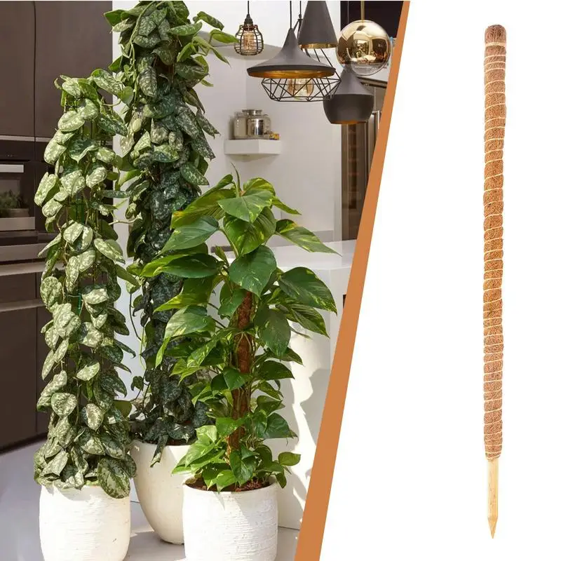 

Bendable Coco Coir Moss Pole Climbing Pole Plant Support Extension For Monstera Money Plants Indoor Plant Grow Upward Support