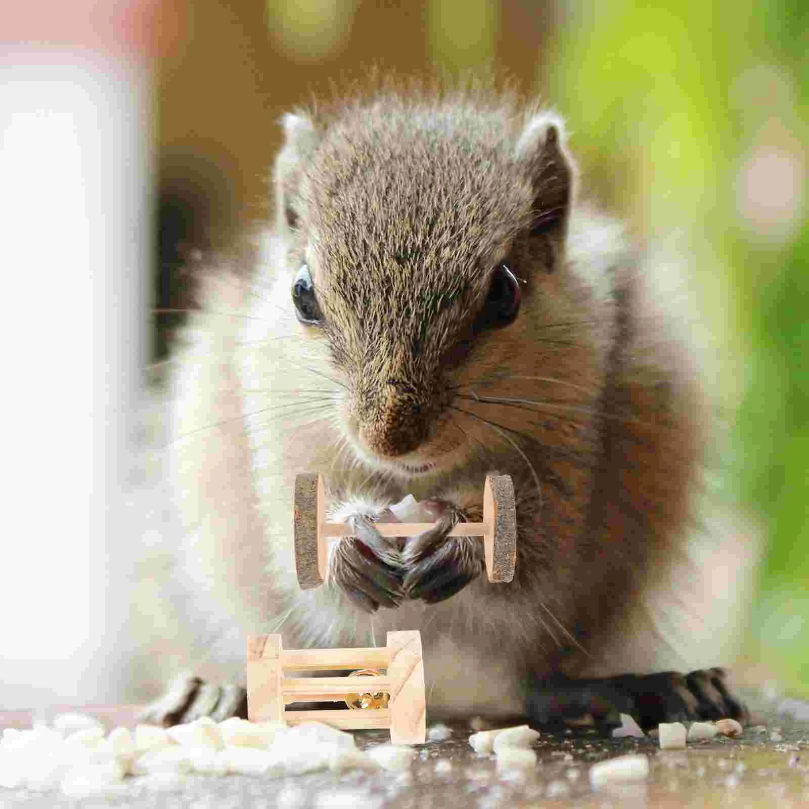 

Chinchilla Cage Accessories Cat Toy Small Pet Playthings Natural Bunny Toys Rabbits Wooden Teeth Care Chew