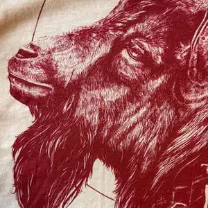 Ведьма | Вьюм вдохновленный Черный Phillip - футболка