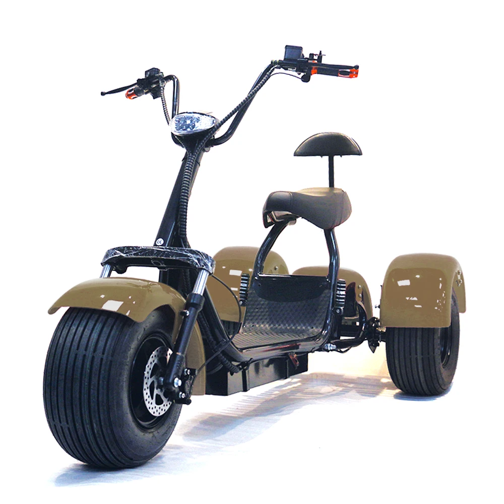 

Removable battery 2000w Motorized scooter adult model tricycle motorcycle