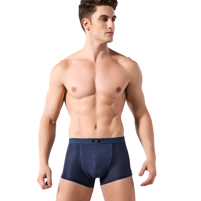 2017 Cool Summer Ice Silk Men's Boxer Shorts Best Selling Super Breathable Mesh Brand Men Underpants 4PCS/LOT M550