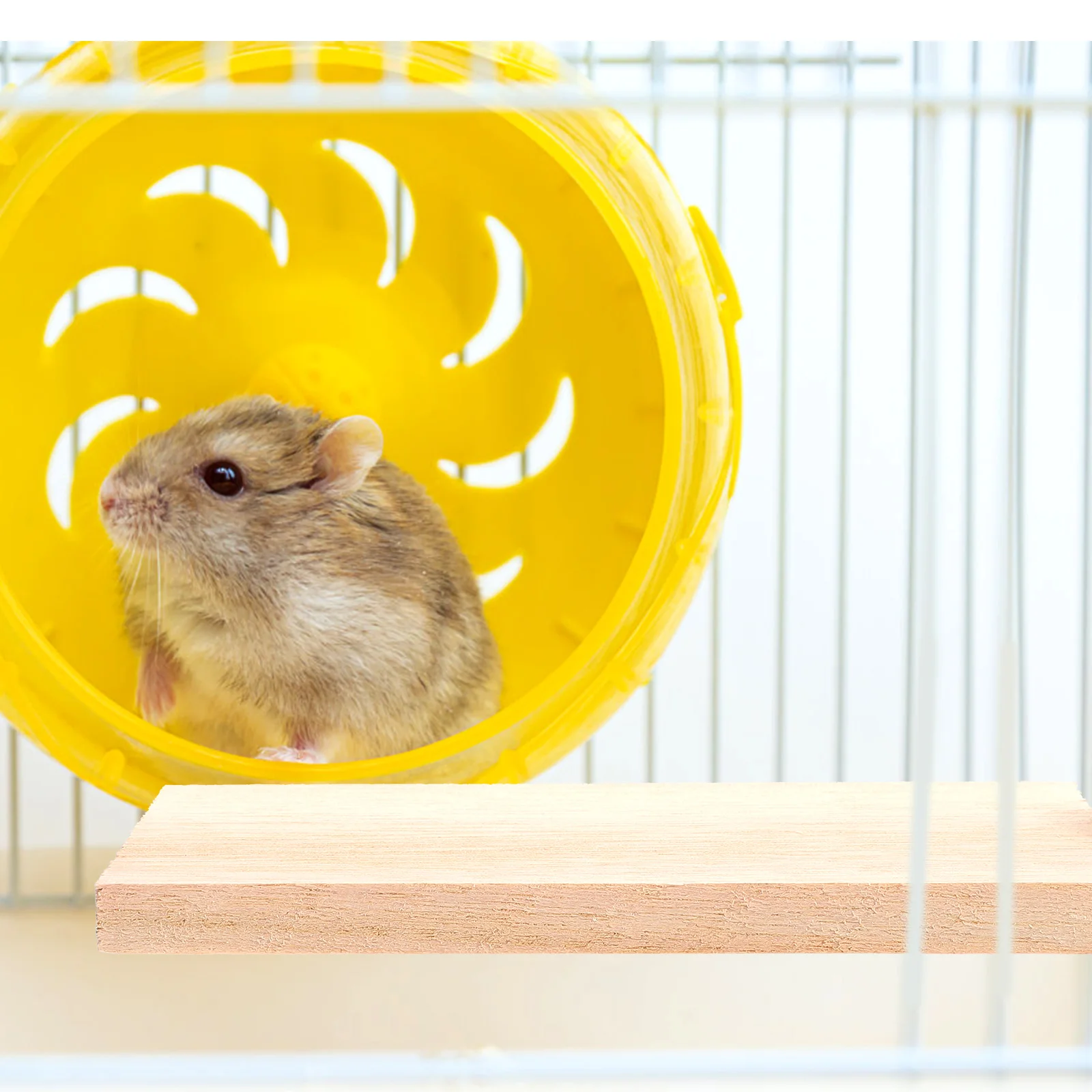 Платформа для прыжков хомяков клетка домашних животных аксессуары шиншиллы