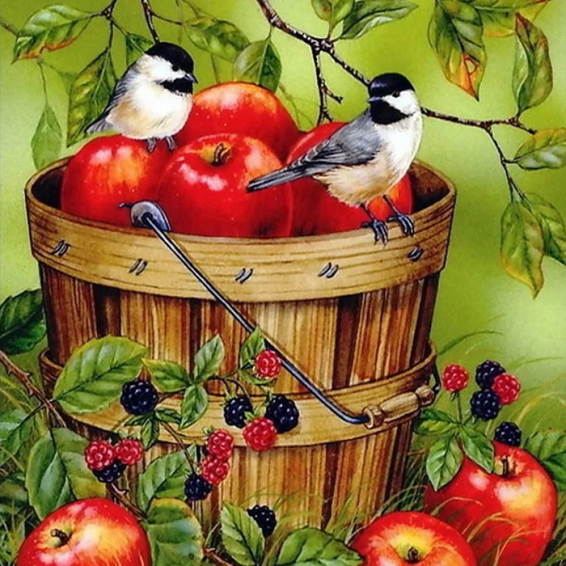 Amazon Европейская и американская новая алмазная живопись 40*50Птиные фрукты Яблоко