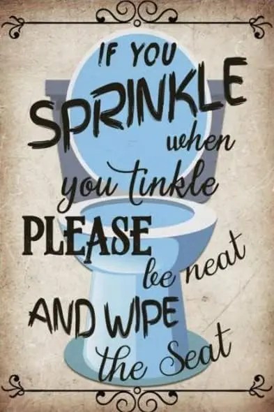 Если вы посыпаете когда ты топящий пожалуйста аккуратный и протирание туалета