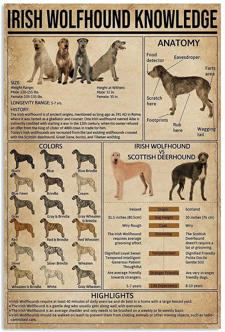 

Metal Decoration Sign (Irish Wolfhound Knowledge) Premium Indoor and Outdoor Home Poster Rectangular Wall Decoration Plaque