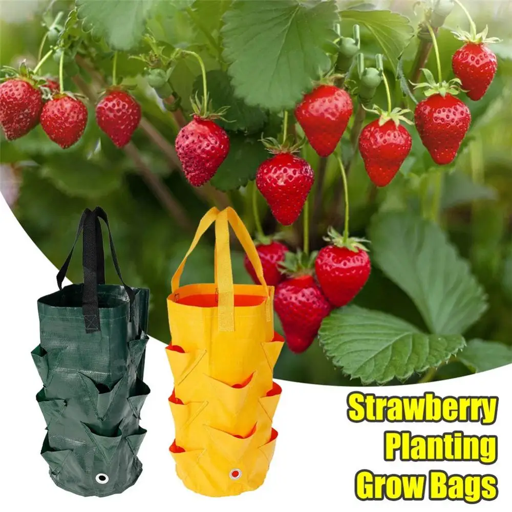 Reusable Garden Planting Bag Strawberry Grow Bag 3L Vertical Flower Grow Multi-mouth Pouch Planter Root Herb Tomato Planter Bag