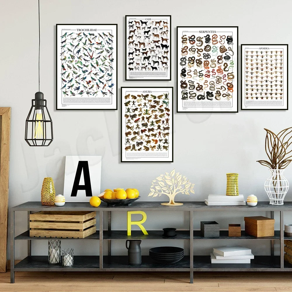 Колибри змея лягушка пчелиный животный узор виды змеи постер с птицами знаний