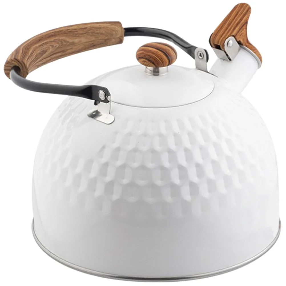 

Stovetop Teapot Stainless Steel Water Bottle Pour Coffee Kettle Loose Leaf Tea Pot Cool Induction Asian Teapot