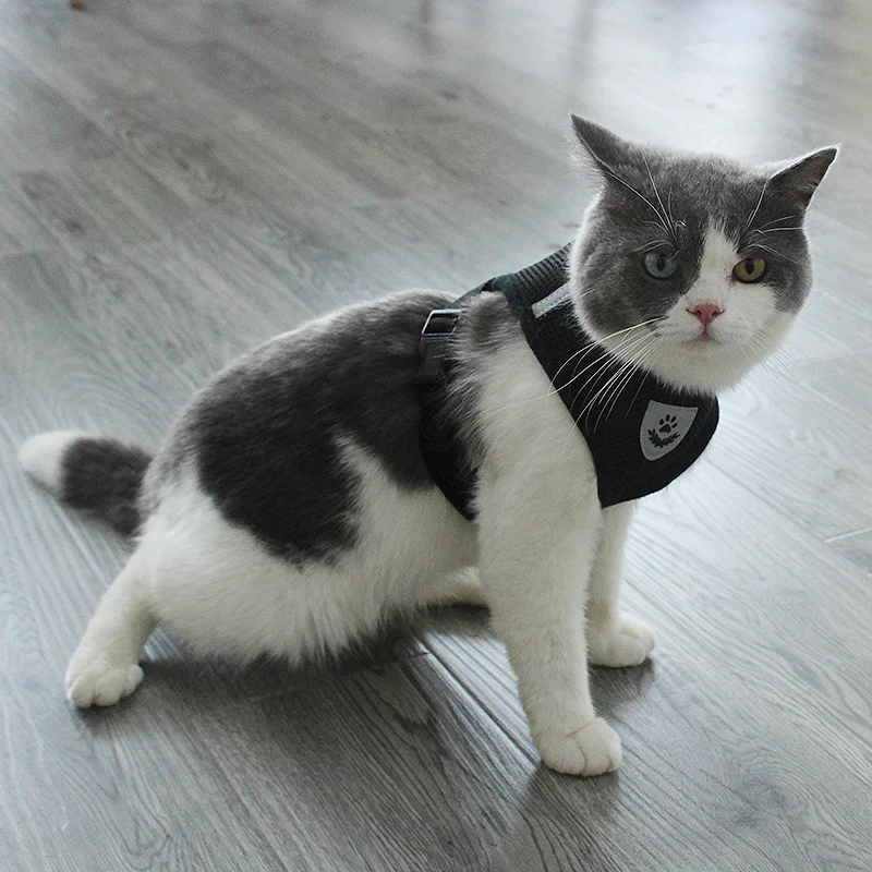 

Dog Harness and Leash Set Cats Dogs Leash Harness Adjustable Vest Walking Lead Leash Puppy Dogs Collar Mesh Harness Pet Products