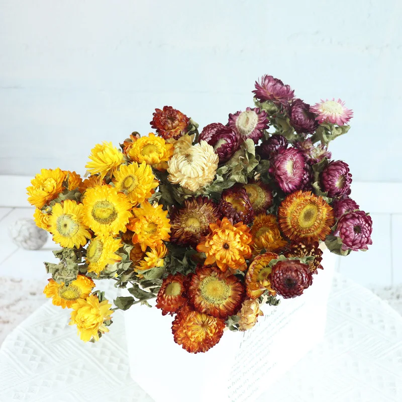 

Preserved Fresh Flower Home Decoration Colorful Chrysanthemum Pineapple Chrysanthemum Dried Flower Diy Handmade Bouquet Material
