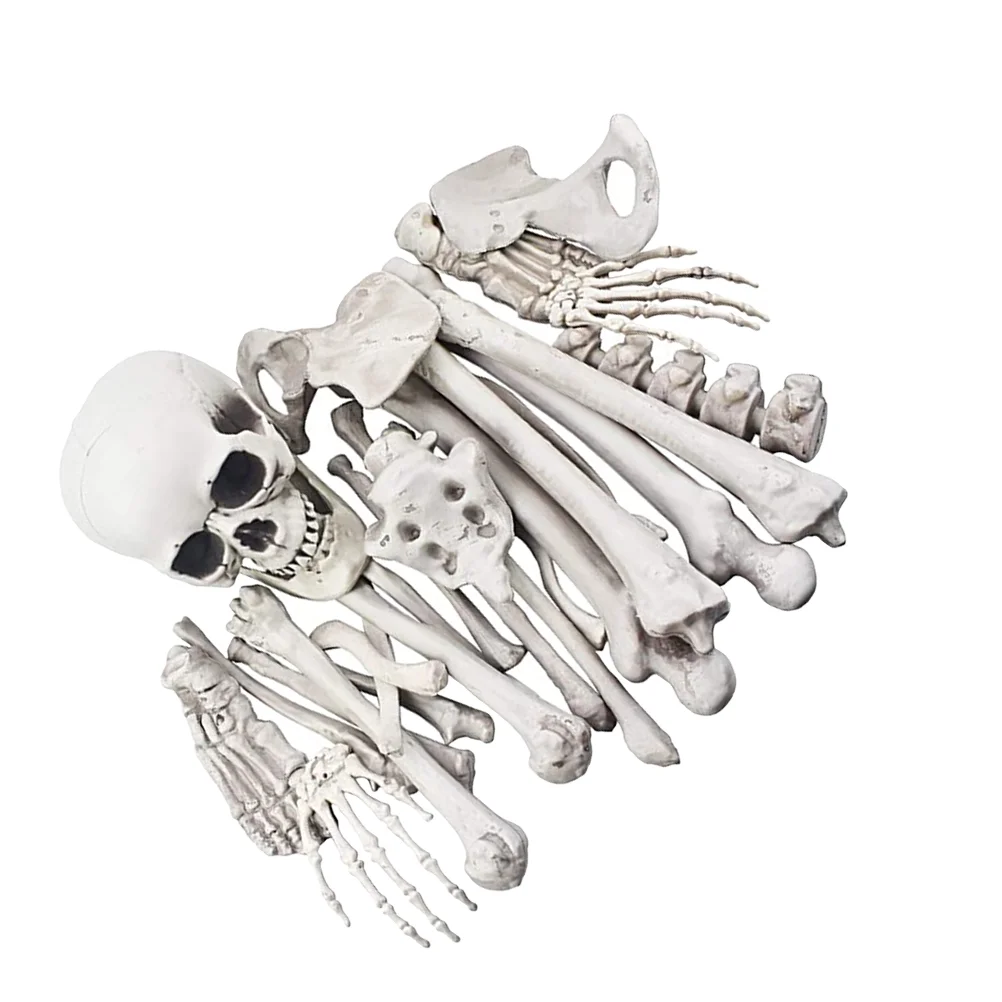 

Halloween Decor 28 Pieces Bones Decoration Humans Supplies White Abs Suction Plastic