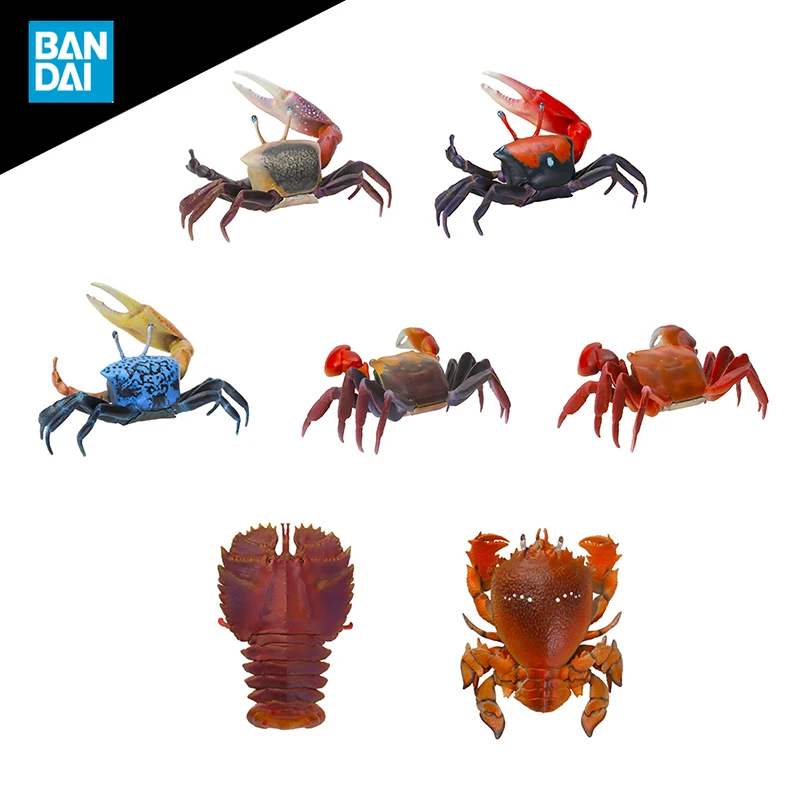 Фото BANDAI биологический атлас краб Squilla ловля краба гашапон аниме фигурка коллекционная модель игрушки №1
