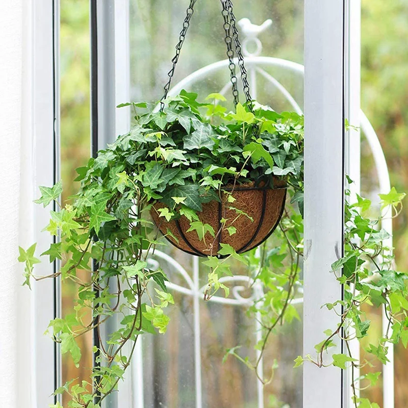 Акция! 5 шт. металлическая подвесная корзина для цветов с кокосовой скорлупой и