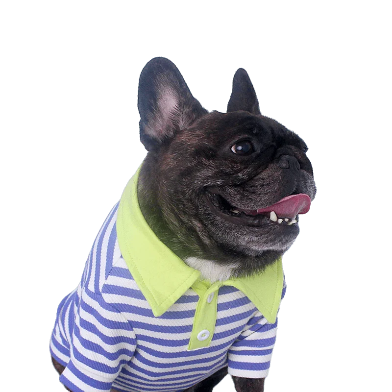 

Pet Puppy Pug Shiba Inu Corgi Autumn and Winter Striped Cotton School Uniform Wind Clothes T-shirt French Bulldog Dog Clothes