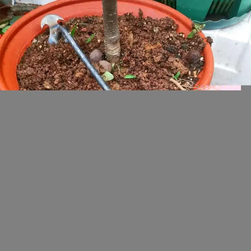 Инструмент для ухода за садом инструмент лужайкой