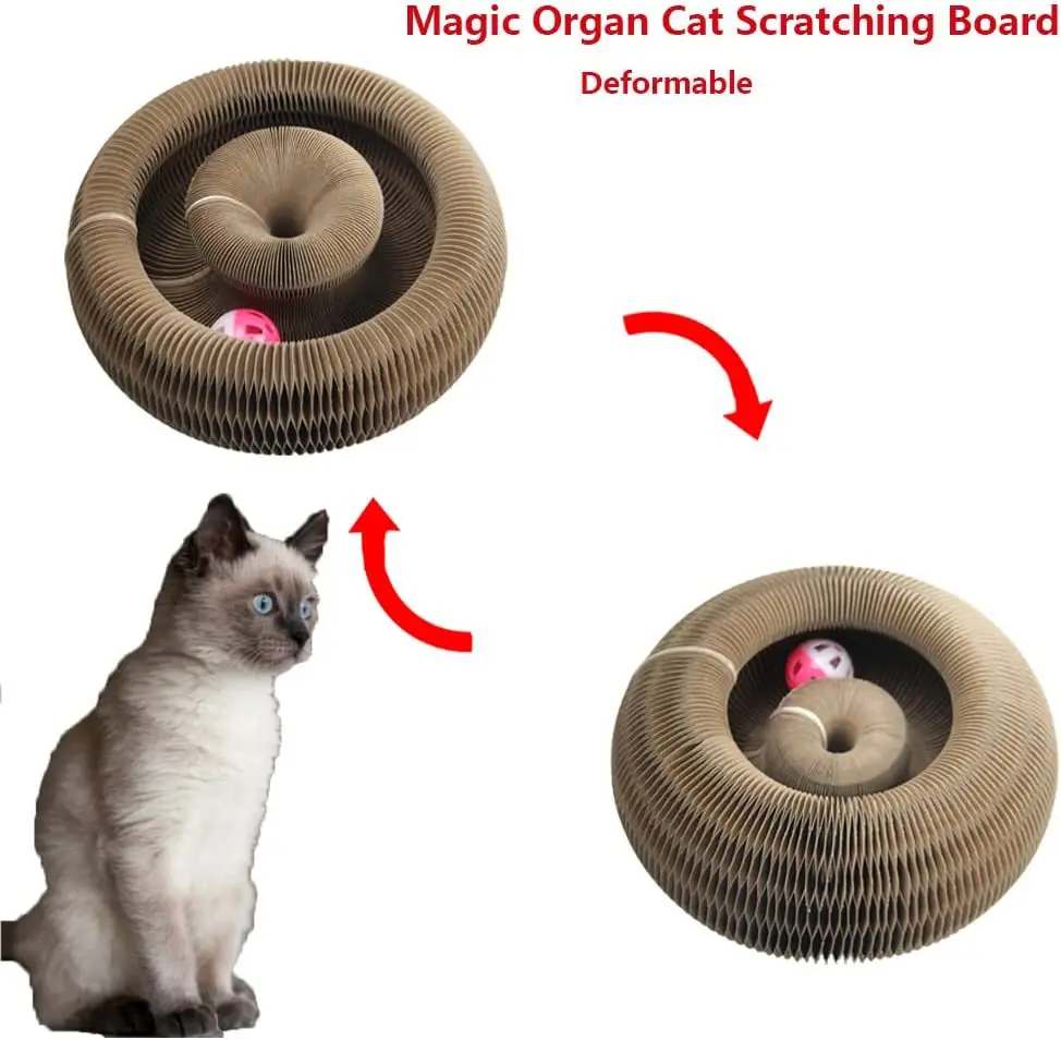 Magic organ cat