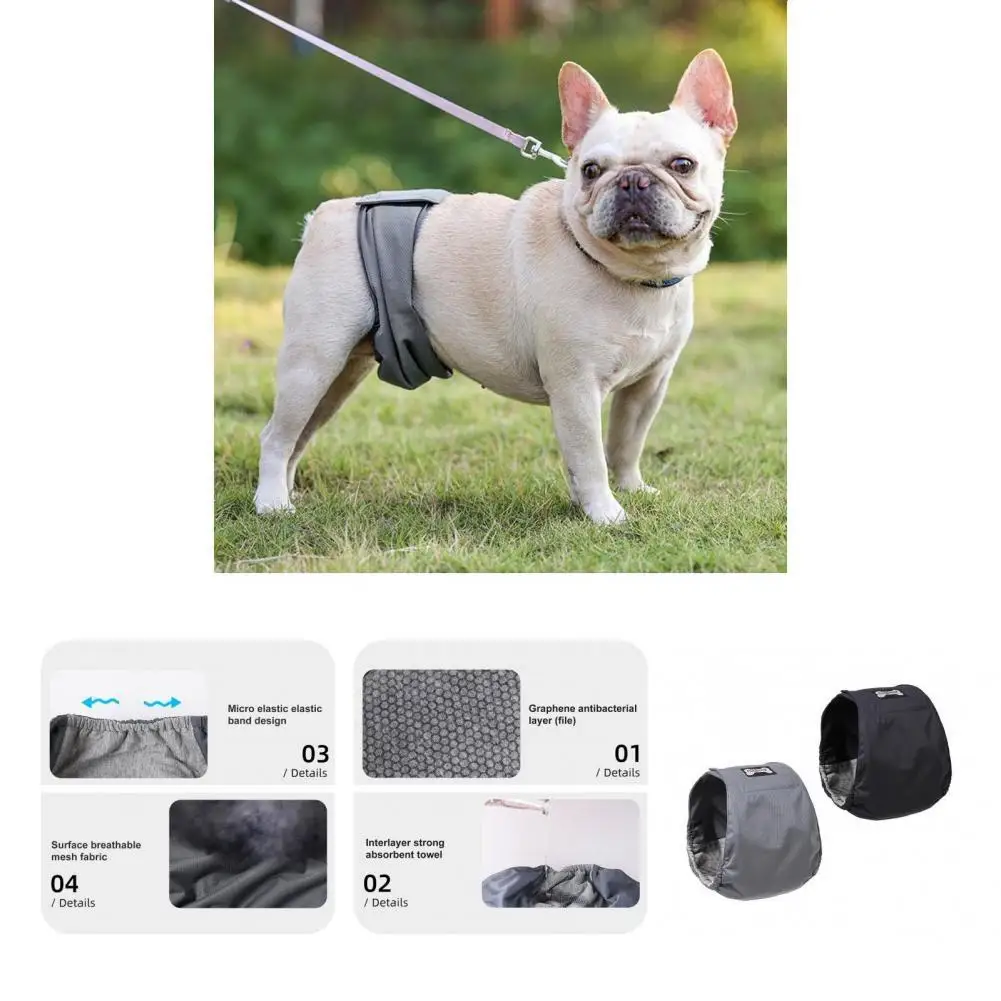 

Дышащие Подгузники чистого цвета, физиологические моющиеся брюки, костюм для щенка