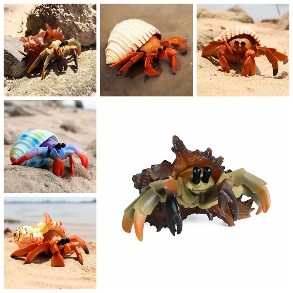 

Model Animal Model Hermit Crab Figurines Hermit Crab Simulation Ocean Animals Plastic Solid Marine Plastic Toys Collection