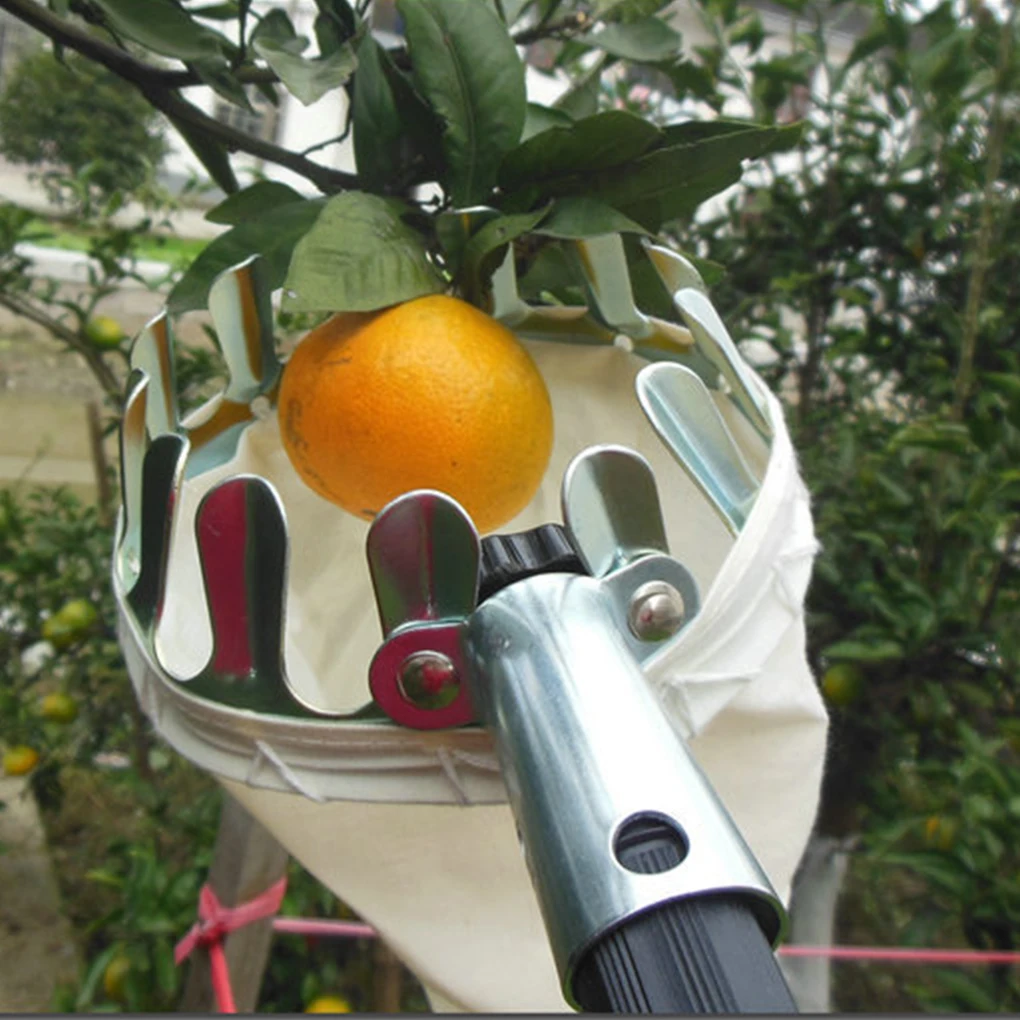 

Metal Fruit Picker Orchard Adjustable Gardening Pear Peach Catcher Garden Yard Reusable Collection Picking 16cm