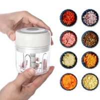100250ml mini electric garlic chopper rechargeable portable meat ginger masher machine chili vegetable crusher kitchen tool