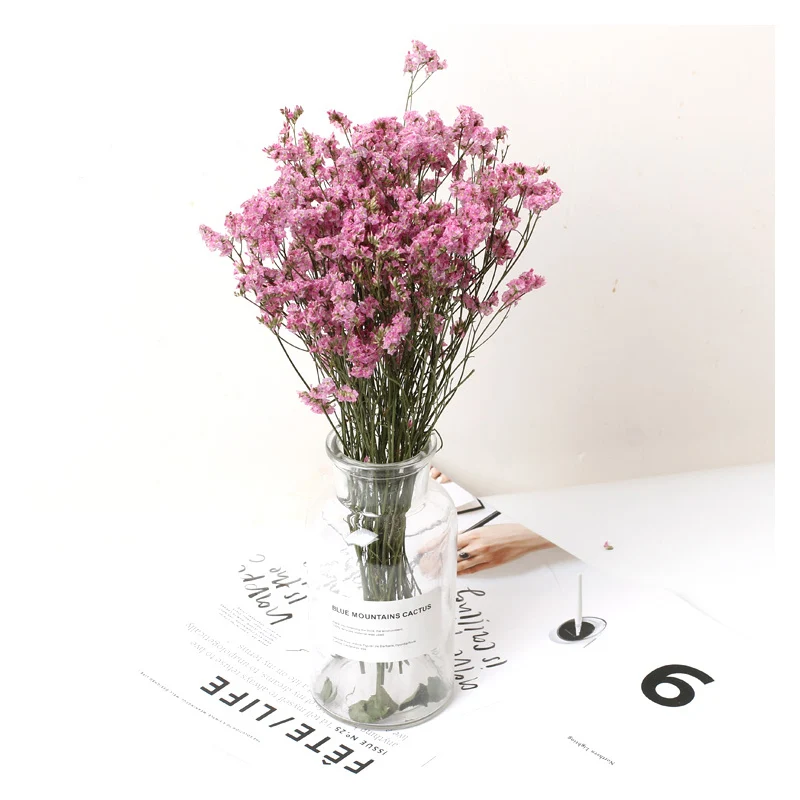 

100g Natural Crystal Grass Dried Flowers Bouquet Blossom For Home And Garden Decoration Living Room Party Decor Crafts