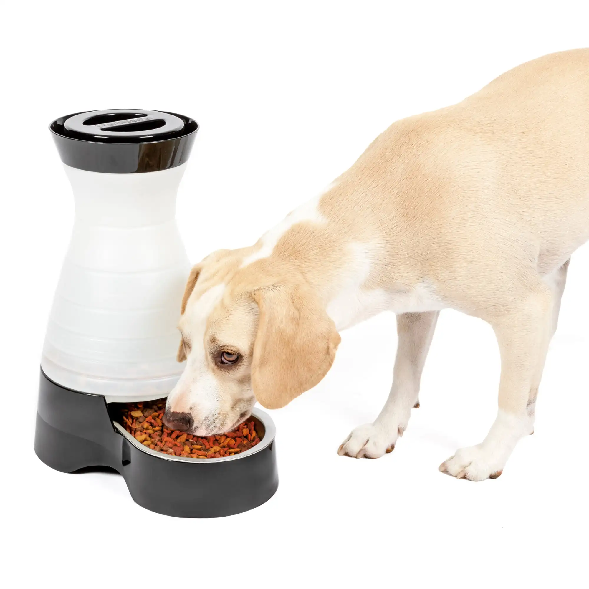 

Healthy Pet Food Station, Medium