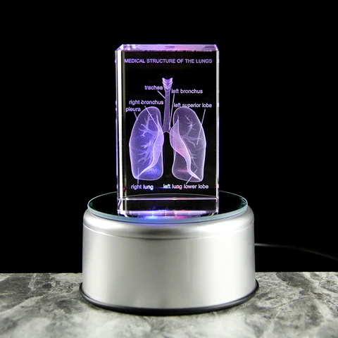Хрустальная 3D лазерная гравировка, человеческая анатомическая модель кубика легких, статуя, пресс-вес, дыхательные медицинские сувениры, научные подарки
