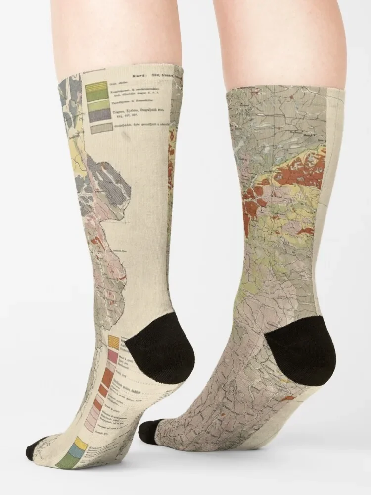 Винтажные геологические карты Норвегии (1878) мужские женские носки