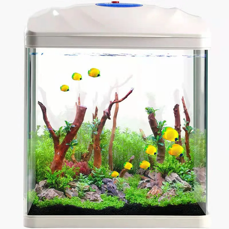 

HR Aquarium Reptile Gold Fish Box Tortoise Tank Kit Turtle Habitat Tank Fish Tank Desktop Mini Decoration Pet Accessories