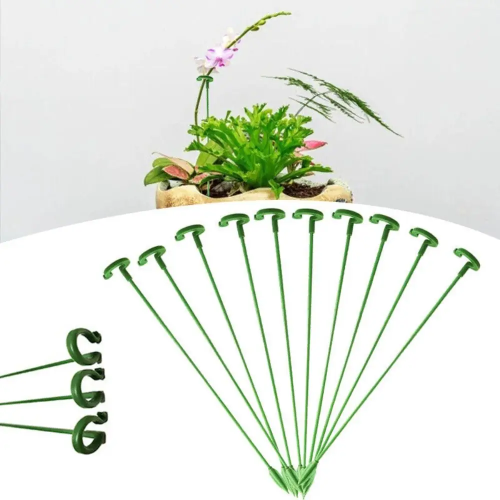 

10Pcs/set Detachable Plant Support Useful Reusable ring design Support Ring Half Round Climbing Trellis Home Garden Supplies