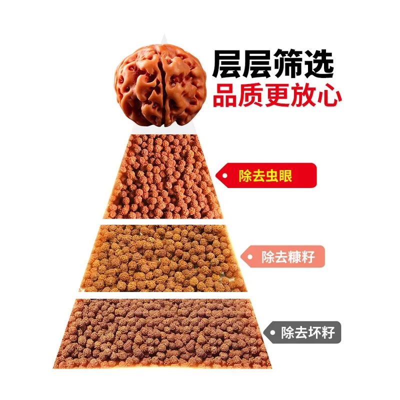 Непал Осел Бодхи Ручной шнурок Семена пяти или шести лепестков Одиночный круг