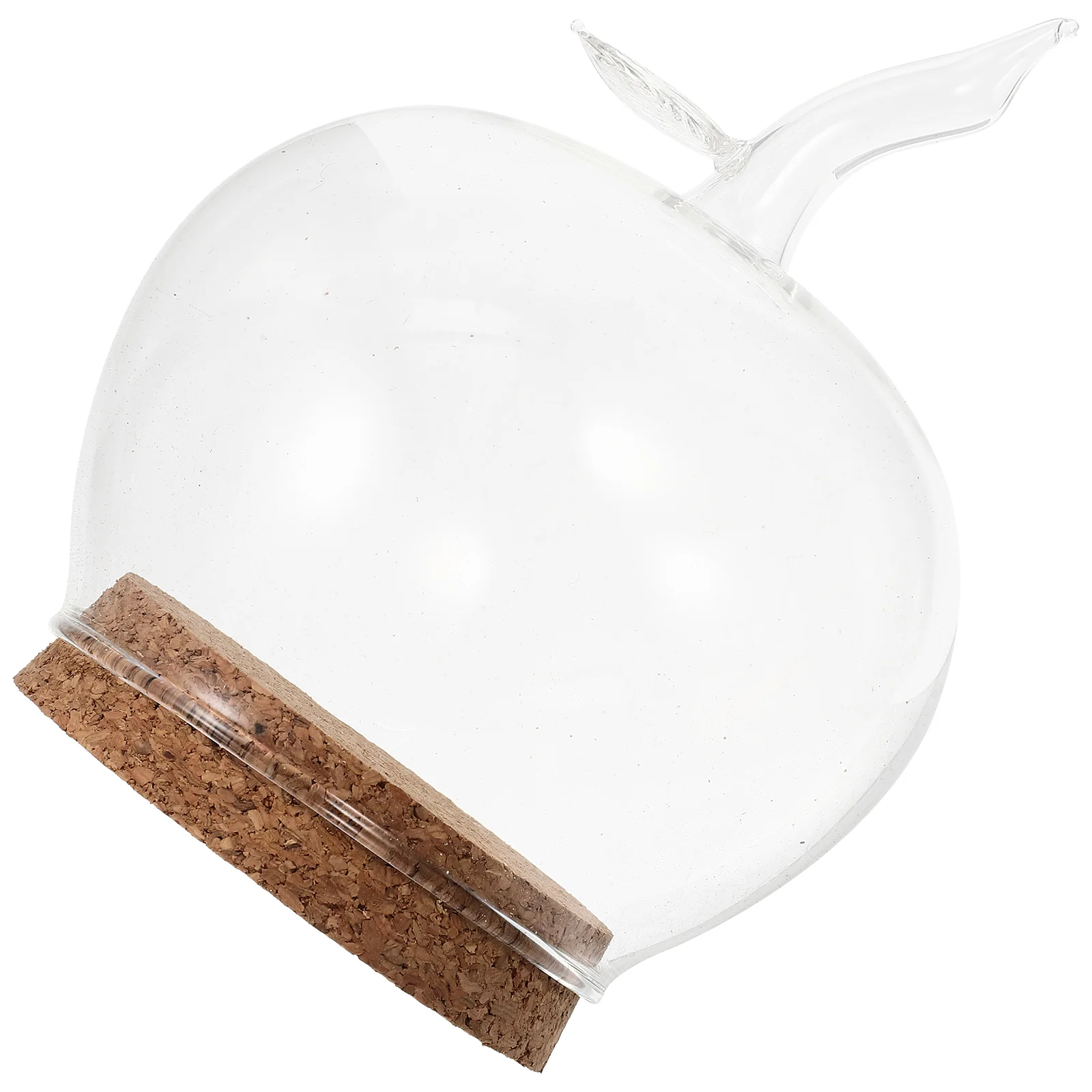 

Cover Adornment Exquisite Flower Cover Transparent Cover Micro Landscape Cover Cover With Wood Base