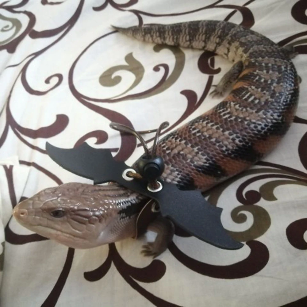 Поводок для рептилий ящерицы с крыльями белкой медведем драконом нагрудным