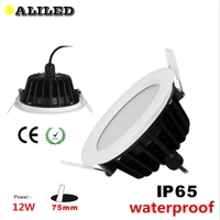 high power low price dimmable12w led downlight waterproof 2800k5500k cerosh 12w cob ledrecessed down light ip65 6pcs per lot