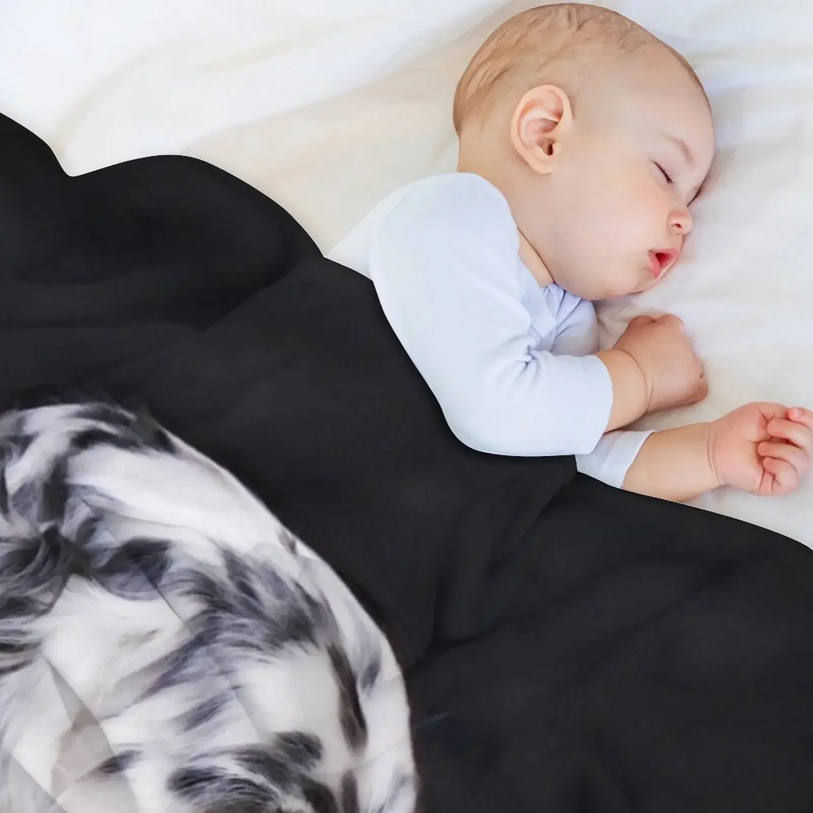 Английский Setter собака с дымчатыми глазами плед одеяло для младенцев теплые на