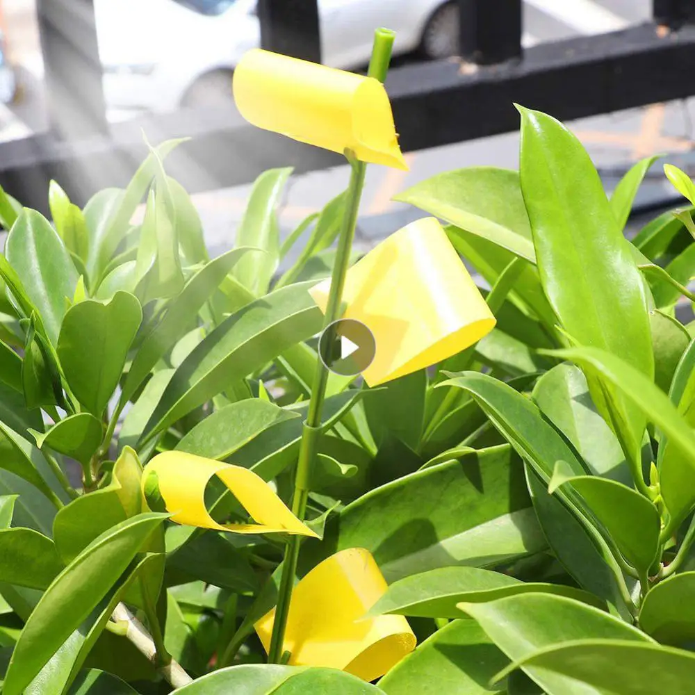 Желтая Двусторонняя наклейка для садоводства