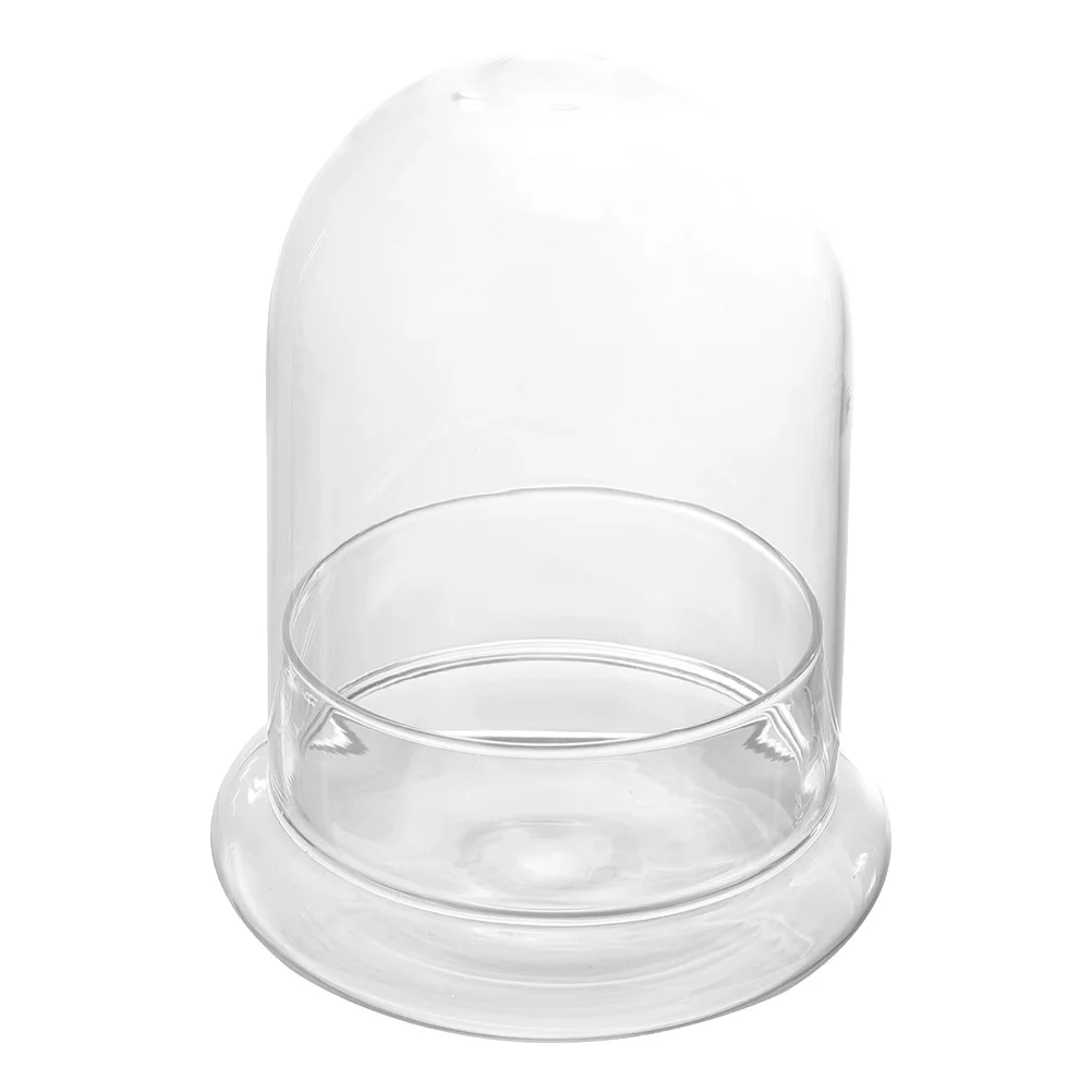 

Mini Plants Bell Jar Clear Glass Dome Cloche Glass Bell Cloche Glass Dome Jar Food Serving Cover Plate Cover