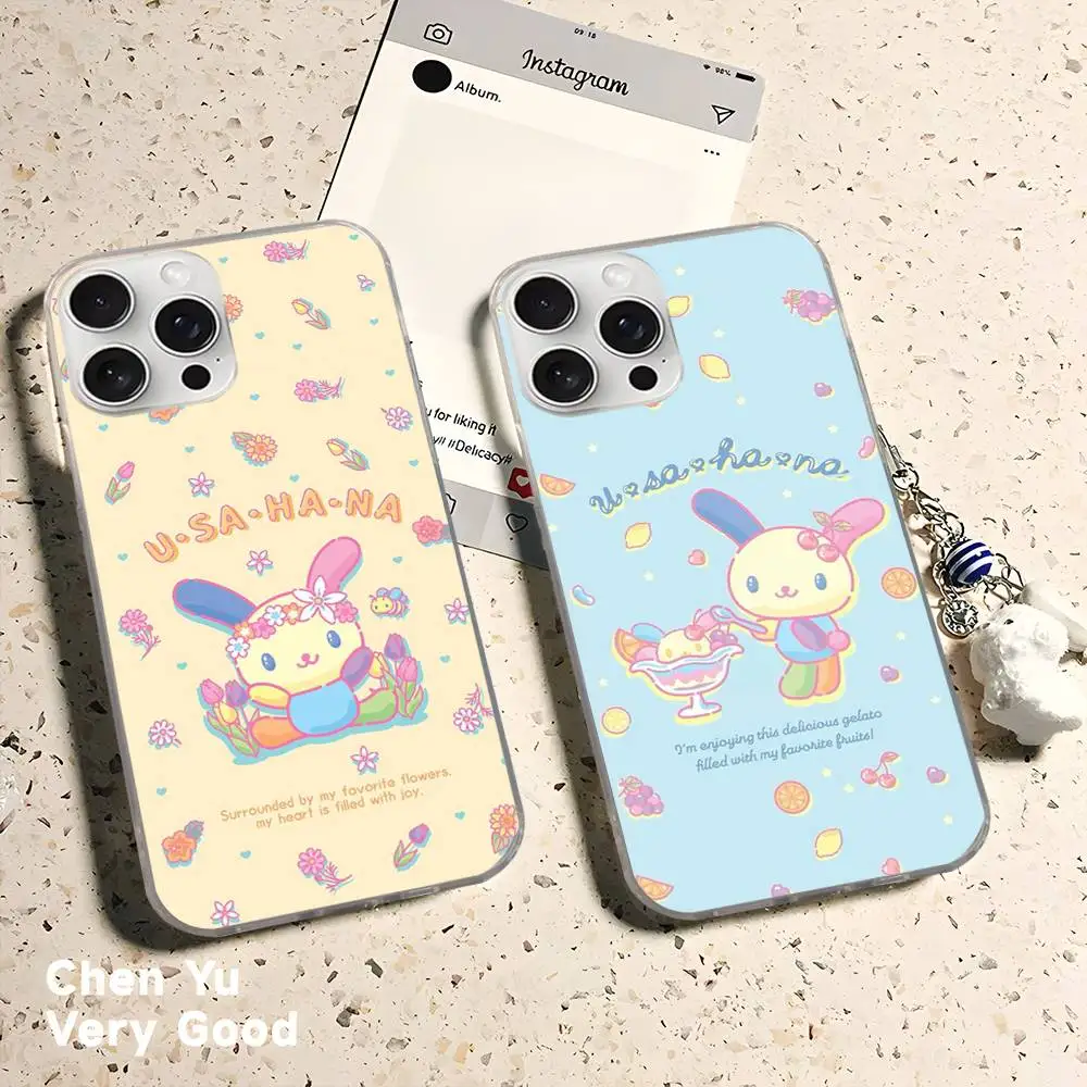 Фото Чехол для телефона Rainbow Bunny USA HaNaS для iPhone 11 12 13 14 15 16 17 Plus Pro Max, сатиновый, глянцевый, с лазерной обработкой №5
