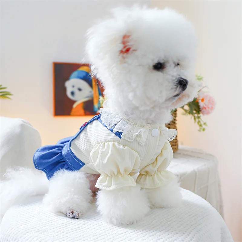 Милая Одежда для девочек и собак голубое джинсовое платье собаки рубашка с