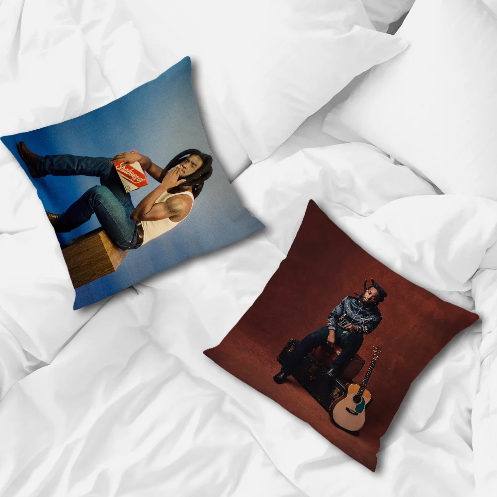 Украшение бара комнаты S-Shaboozey домашний диван песня гостиная офис певица