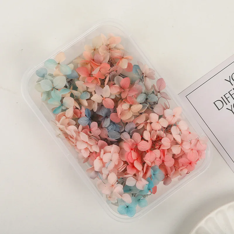 Фоторамка Анна градиентная гортензия анна викторовна кутявина не буду