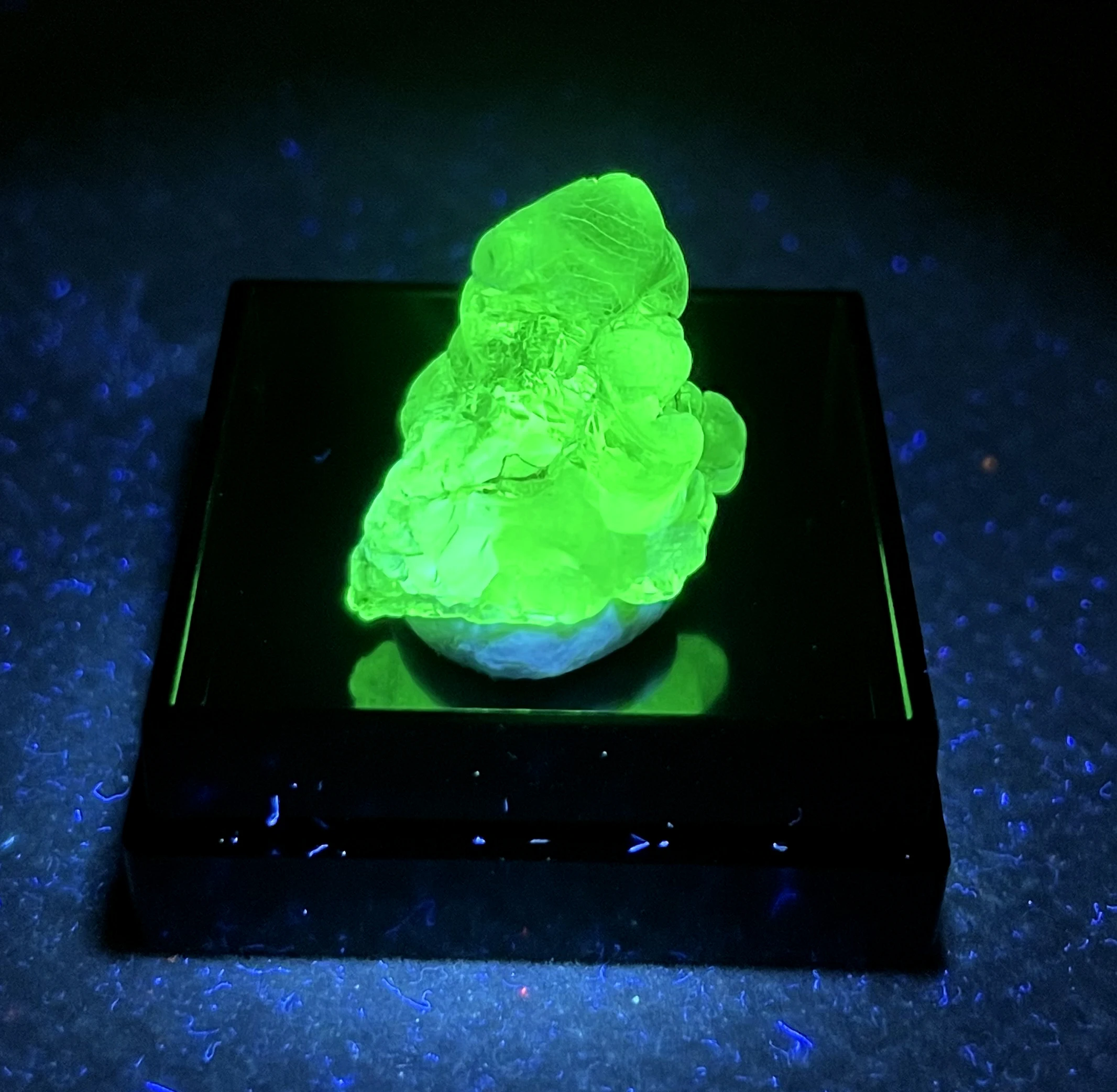 

Best ! 100% natural Mexico Green Fluorescence Hyalite (Glass Opal) mineral specimen quartz + size about 1-1.5 cm