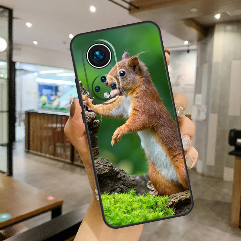 Чехол-накладка с белкой для Huawei Honor 50 Lite 8X 9X 10i Nova 5T 9 P Smart 2021 P20 P40 P30 Pro |
