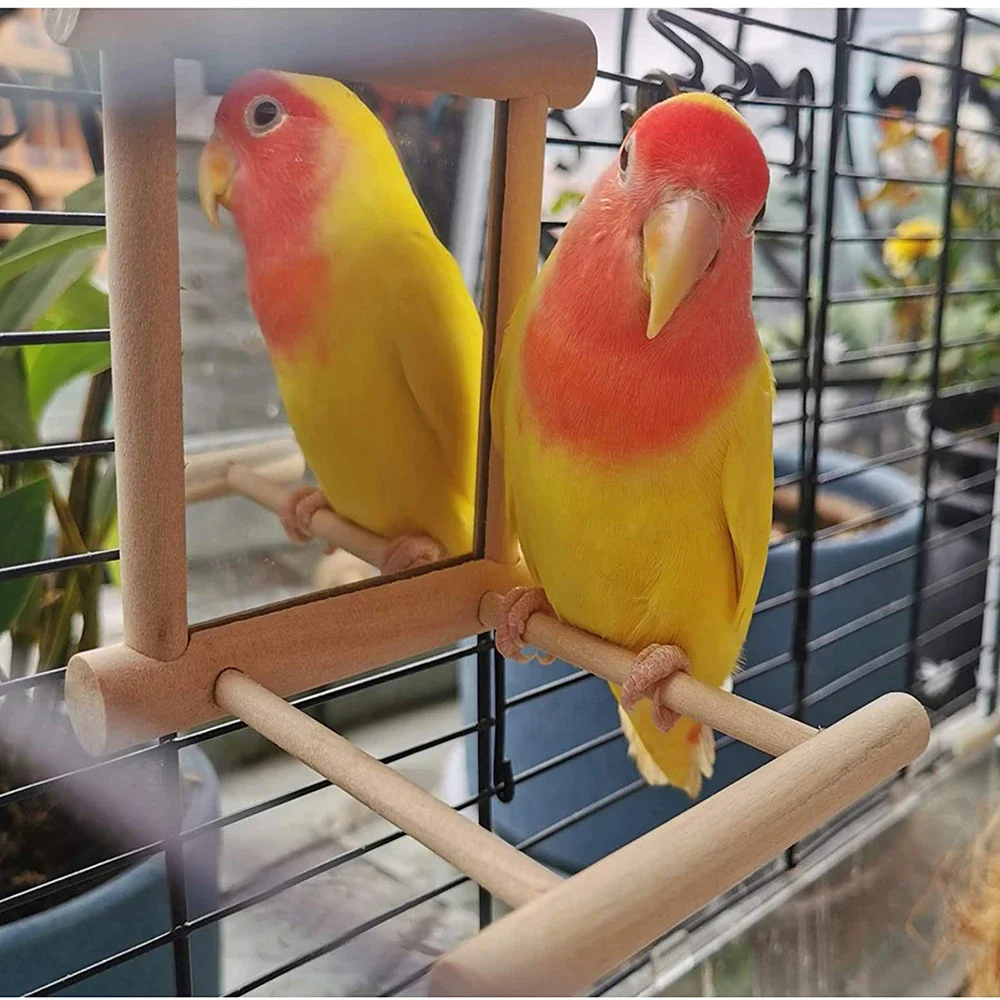 

Pet Bird Mirror Wooden Play Toy With Perch For Parrot Budgies Parakeet Cockatiel Conure Finch Lovebird Birds Accessories