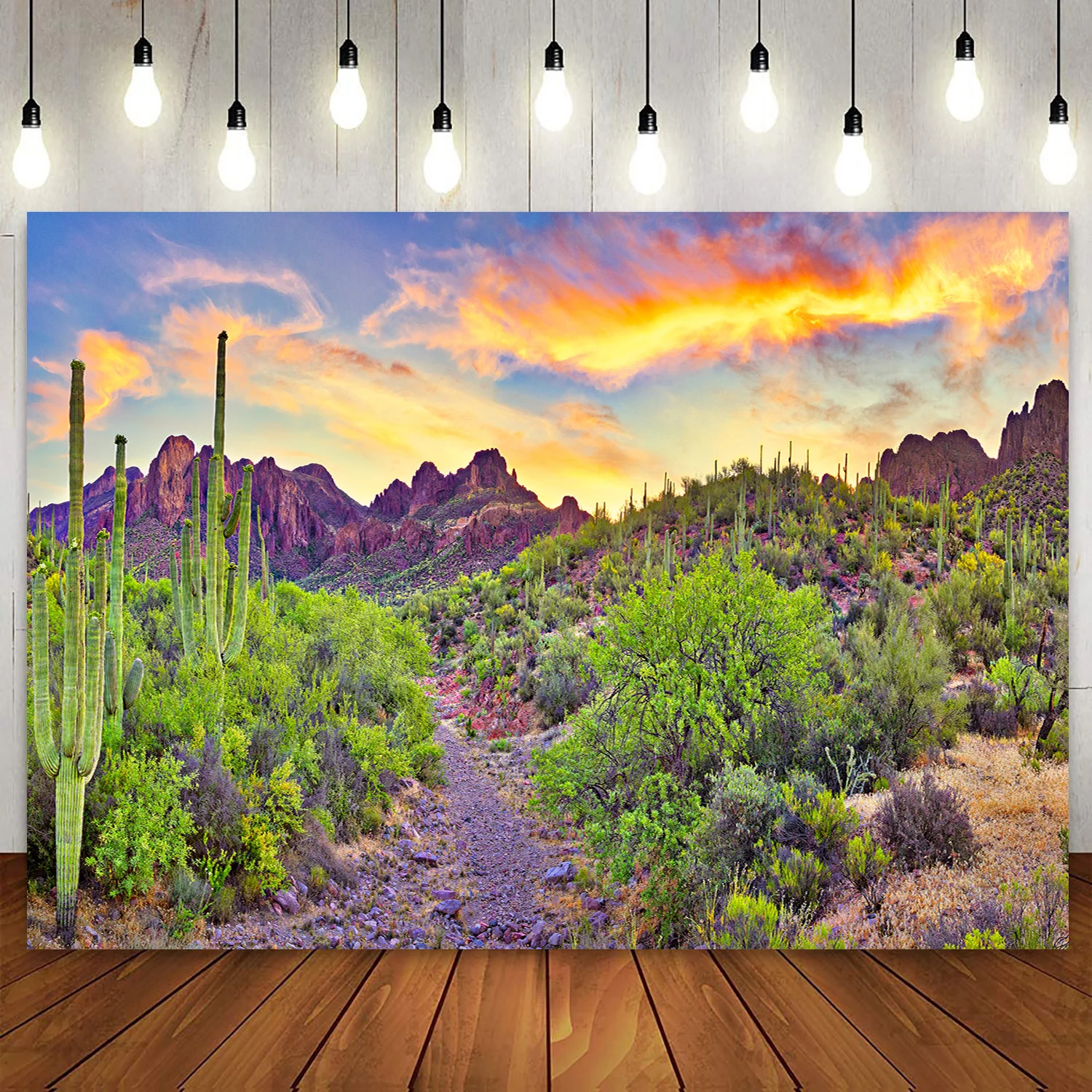 

National Park Arizona Desert Backdrop Cactus Mountain Western Sunset Sunrise Photography Background Party Decor Travel Shoot