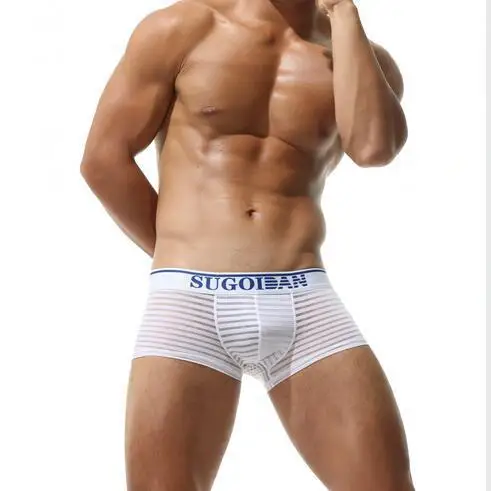 

Men's Underwear Ice Silk Striped Transparent Sexy Boxer Soft Breathable Boxer