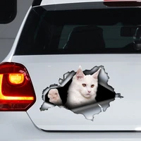 white maine coon car decal white cat decal white maine coon sticker