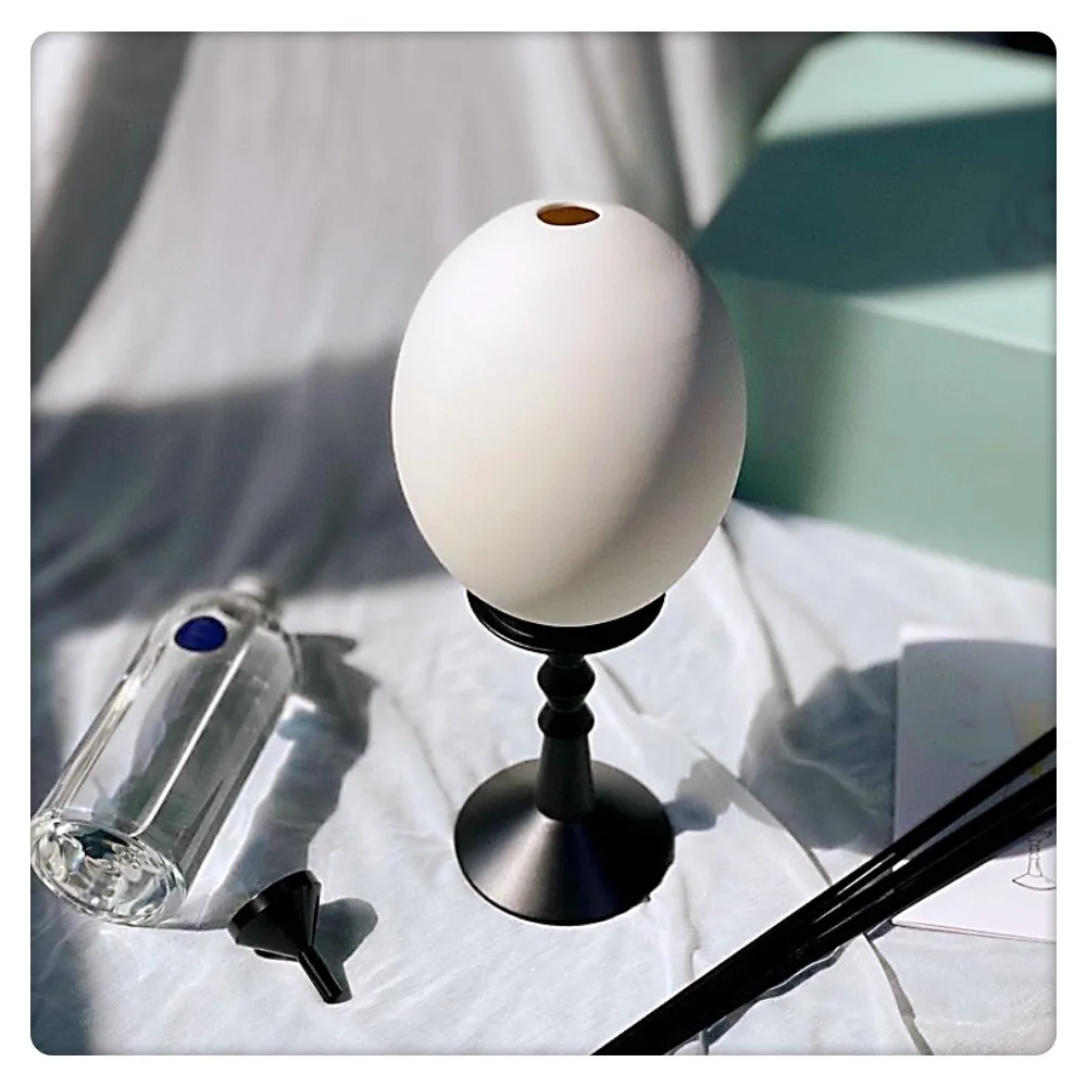 

CT Home Egg Shaped Ceramic Incense Stick Incense Decoration Diffuser with High Appearance Value Air Freshness Combination Indoor