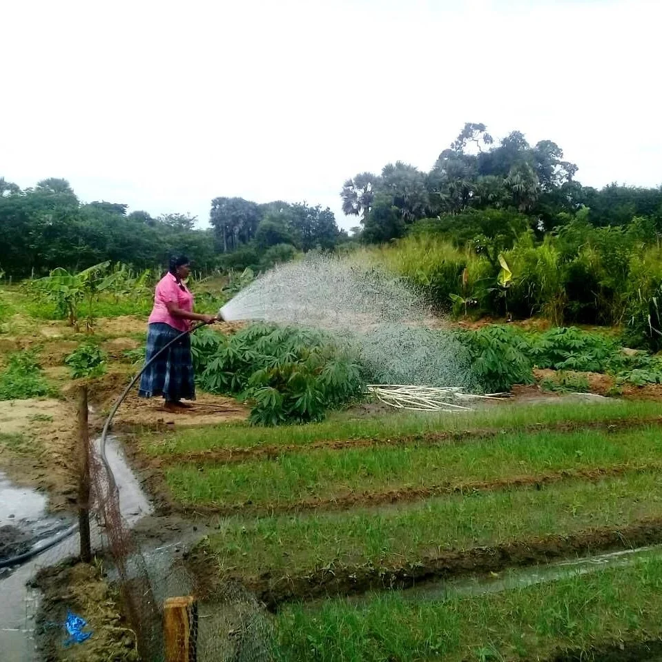 

60V 72v 1hp Solar Powered Irrigation Water Pump Big Flow Solar Irrigation Pump